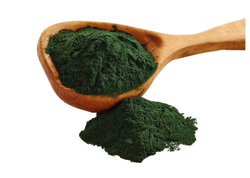 Spirulina powder